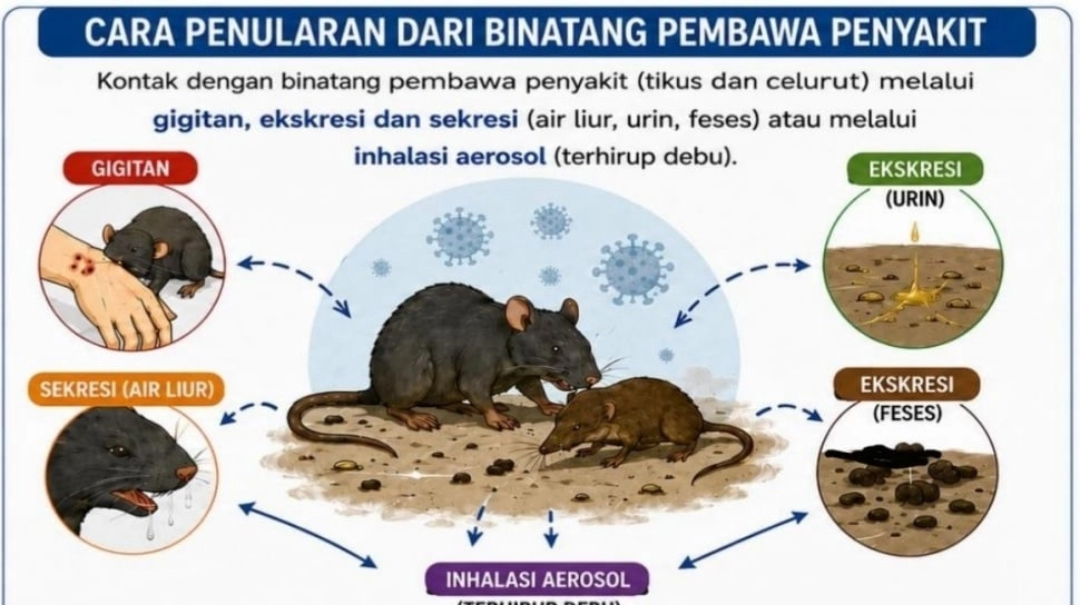 10 Negara Respon Hantavirus, Paling Serius Amerika Serikat