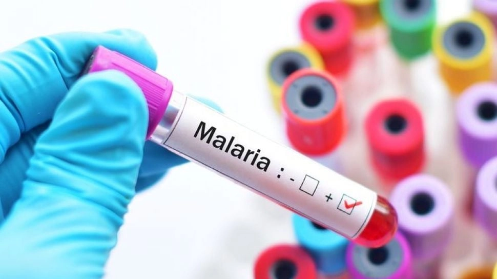 Waspada Malaria Knowlesi! Penyakit 'Kiriman' Monyet yang Mulai Mengintai Manusia