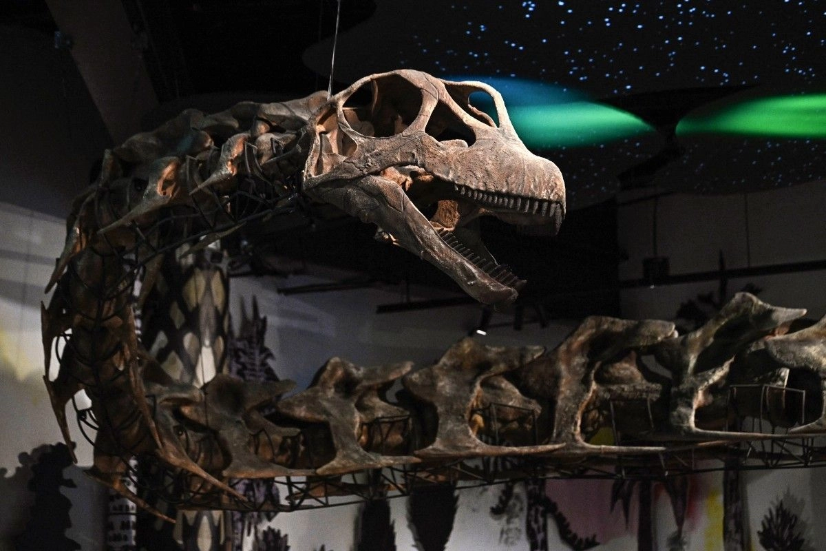 Dinosaurus Berleher Panjang Terbesar di Asia Tenggara Ditemukan, Bobotnya Setara 9 Gajah