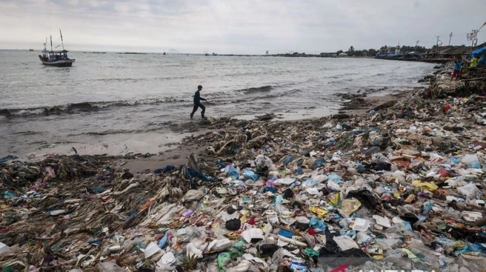 Dari Limbah ke Pasar Dunia, Rahasia Wayan Sudira Ubah Sampah Kayu Laut Jadi Cuan Ekspor