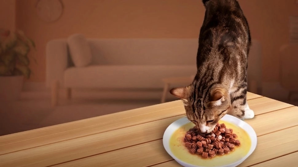 Panik Anabul Sering Pilih-Pilih Pet Food? Ternyata Ini 5 Alasannya