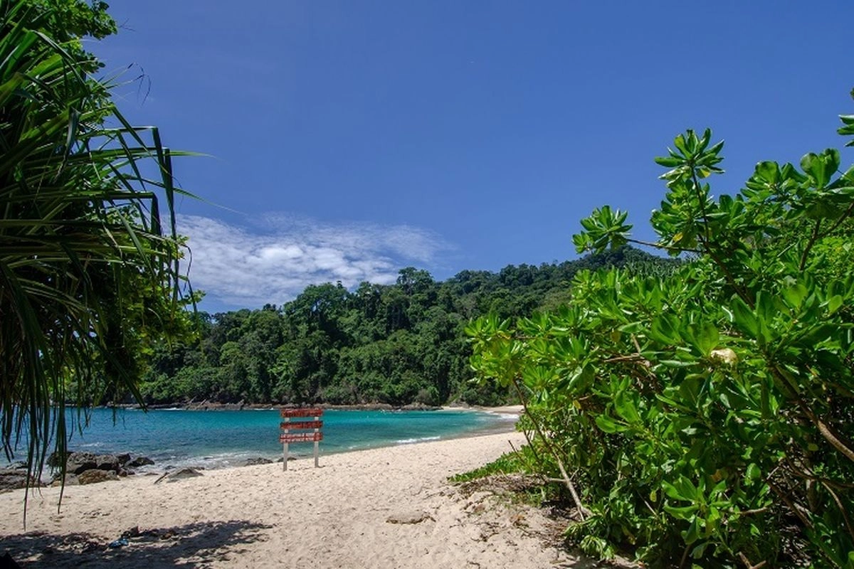 Banyuwangi Diserbu Wisatawan saat Long Weekend, Hotel dan Homestay Penuh
