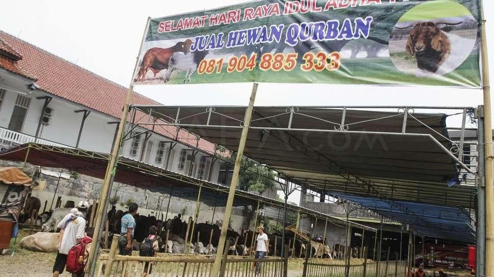 Rupiah Melemah, Penjualan Hewan Kurban Tetap Bergairah Jelang Iduladha 2026