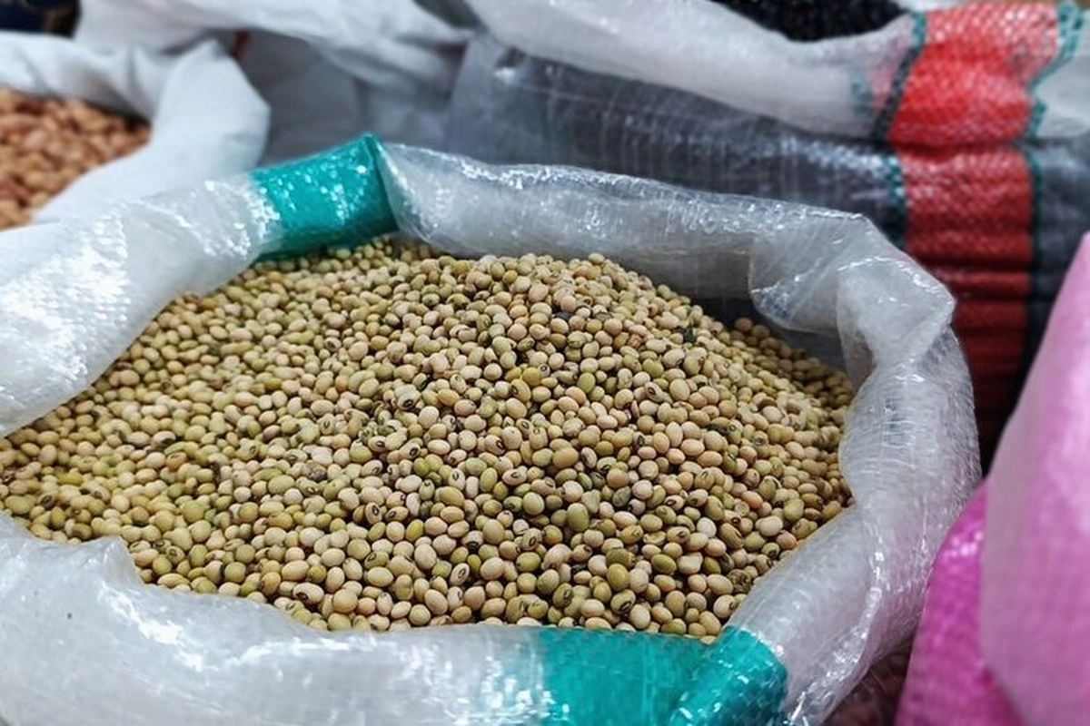 Bulog Dapat Tugas Serap Kedelai Petani Lokal
