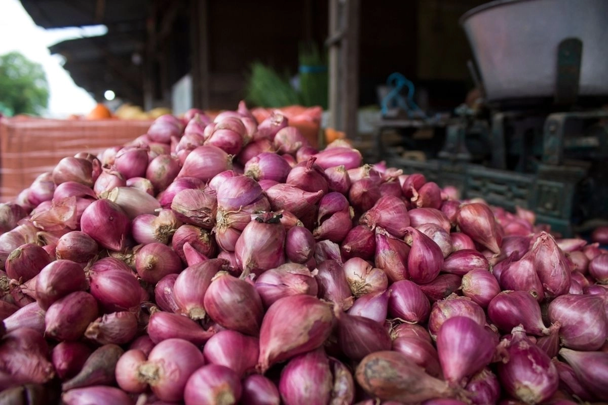 Polri Bongkar Sindikat Bawang Ilegal asal Malaysia Beromzet Rp 24,9 Miliar