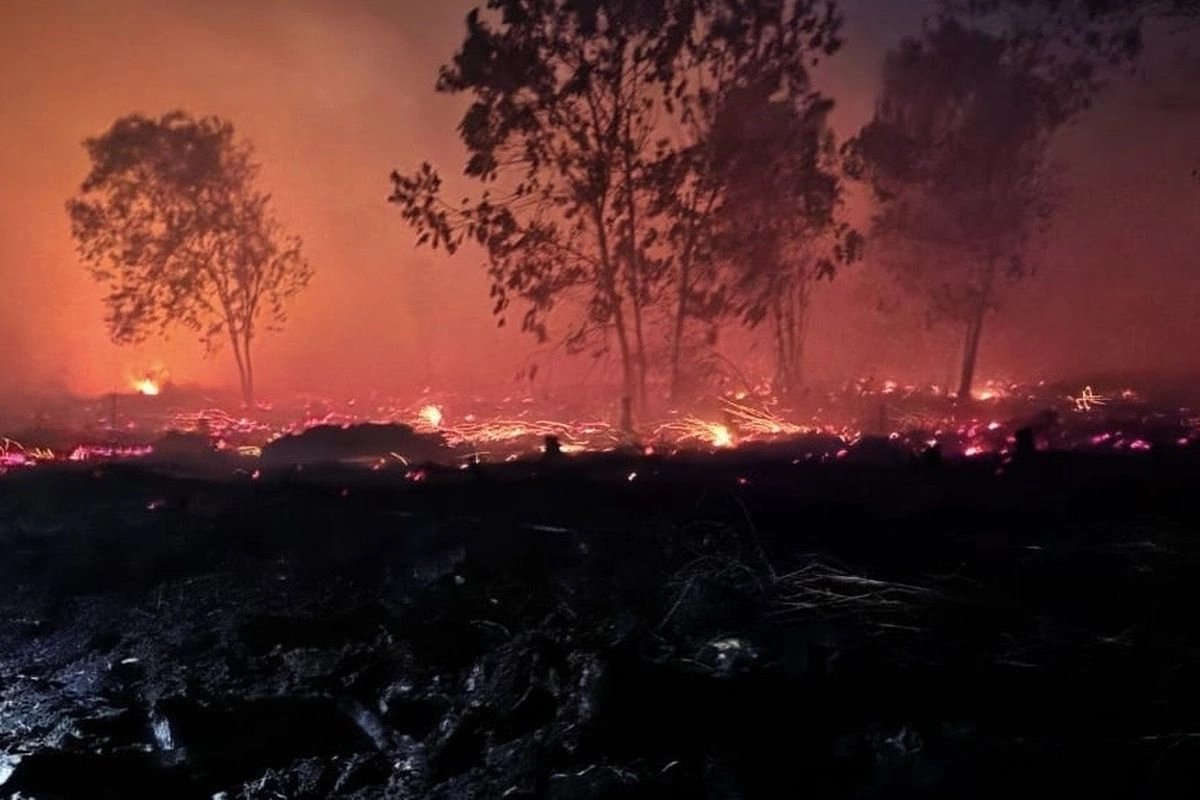 BMKG Waspadai Karhutla di 6 Provinsi Saat El Nino dan Kemarau 2026