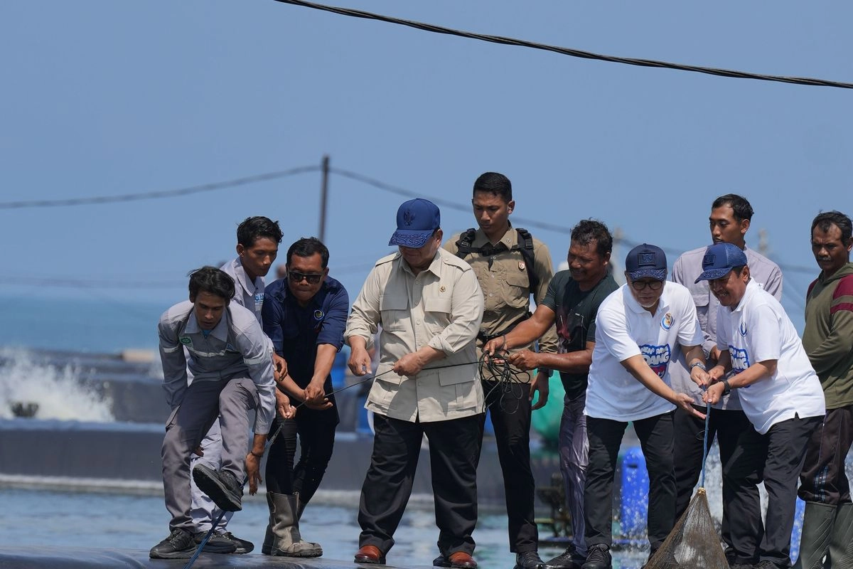 Prabowo Genjot Swasembada Protein, Tambak Udang dan Ikan Skala Jumbo Disiapkan