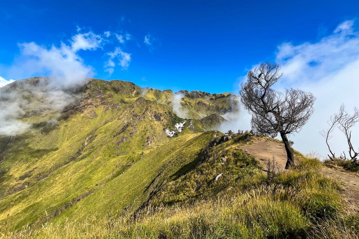 Pendakian Merbabu via Thekelan Ditutup Sementara 3–7 Juni 2026