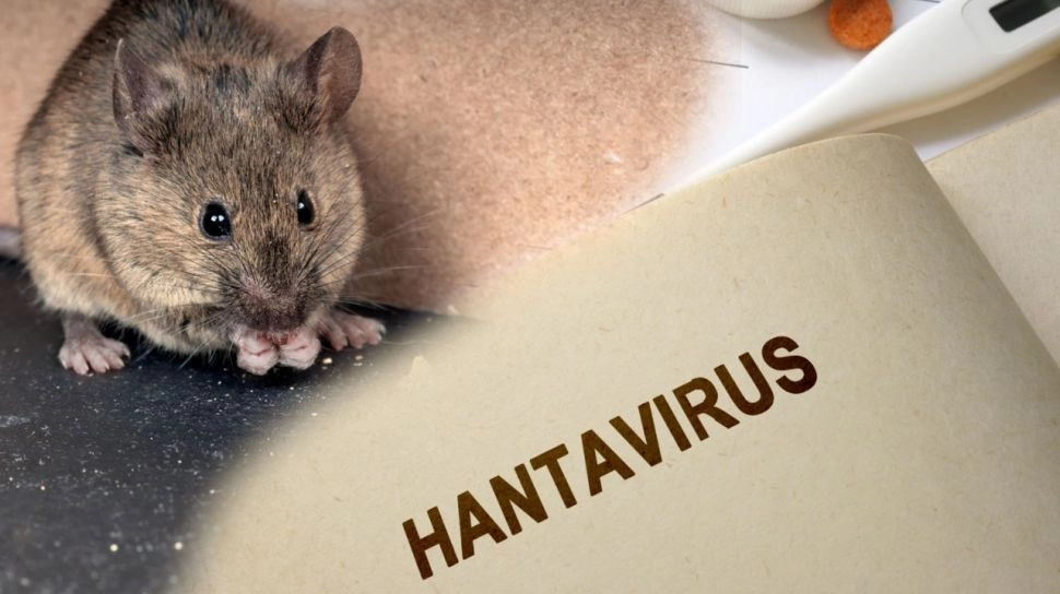Jakarta Siaga Hantavirus: 4 ABK dari Somalia Masuk RSUD Cengkareng, Begini Kondisinya