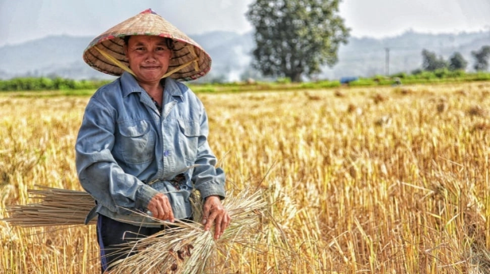 Penduduk Dunia Tembus 8 MIliar, Bisakah Pangan Lokal Jadi Jawaban Krisis Pangan Global?
