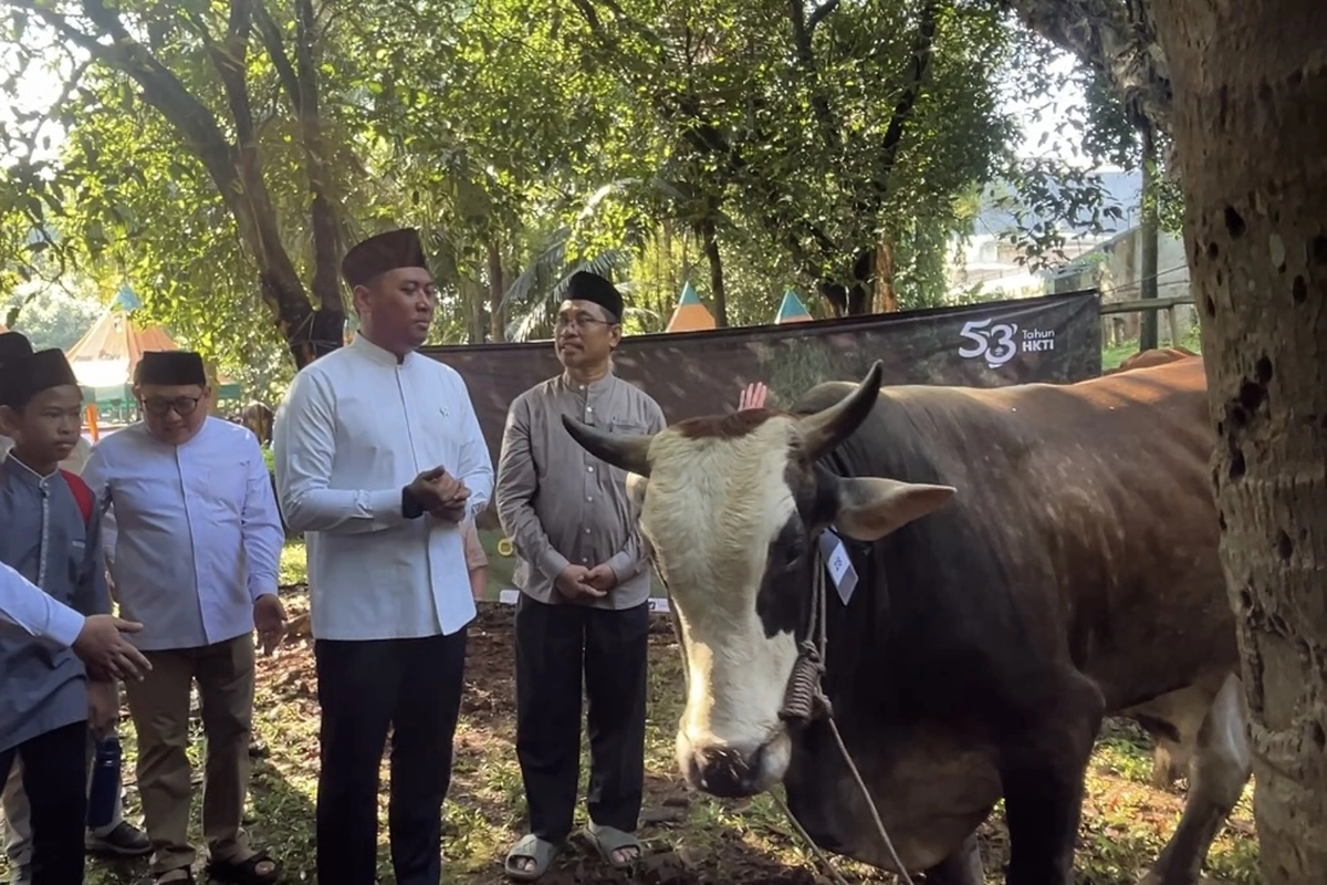 Prabowo Kurban 1.098 Ekor Sapi, Wamentan: Pak Jokowi Juga