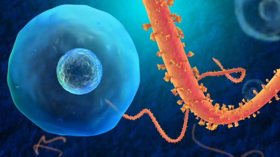 Alarm Bahaya Wabah Ebola, IPMG Percepat Transfer Riset Farmasi di Indonesia
