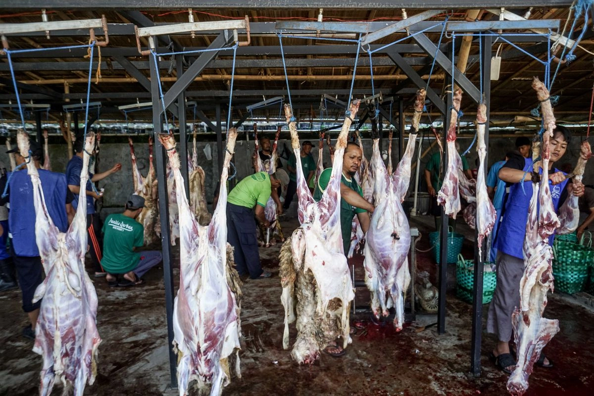 Kurban dan Krisis Empati Global