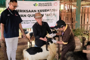 SIG Salurkan 292 Hewan Kurban ke 19 Provinsi, Libatkan UMKM Lokal