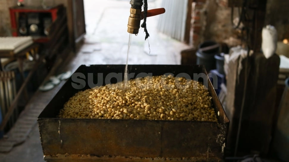 Dolar 'Cekik' UMKM: Harga Kedelai Tembus Rp545 Ribu, Perajin Tahu Tempe Terpaksa 'Sunat' Ukuran
