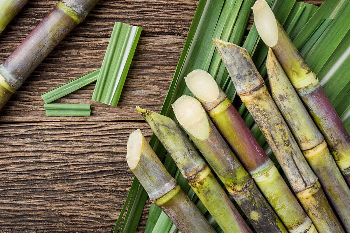 Bulog Pastikan Penyaluran Tebu Petani Blora Tetap Lancar
