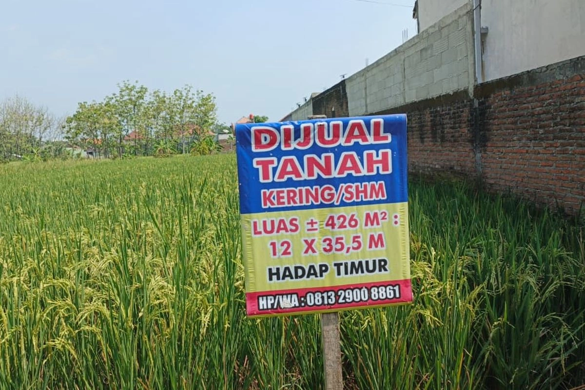 Cek Status Tanah Bisa Pakai Jasa Kantor Notaris PPAT