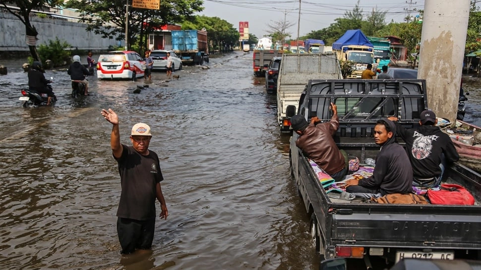 Penurunan Muka Tanah dan Hilangnya Mangrove Bikin Pantura Kian Rentan Banjir Rob, Adakah Solusinya?