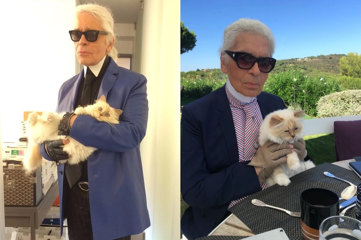 7 Tahun Berlalu, Kucing Karl Lagerfeld Belum Terima Warisan