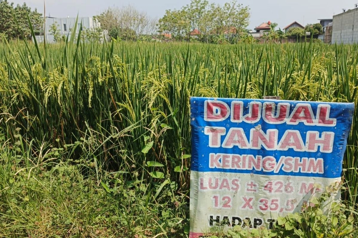 Mau Beli Tanah? Pastikan Sertifikat Lolos Pengecekan Ini
