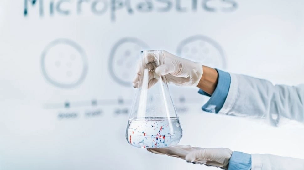 Mikroplastik Ada di Makanan, Minuman, hingga Udara: Seberapa Besar Risikonya bagi Kesehatan?